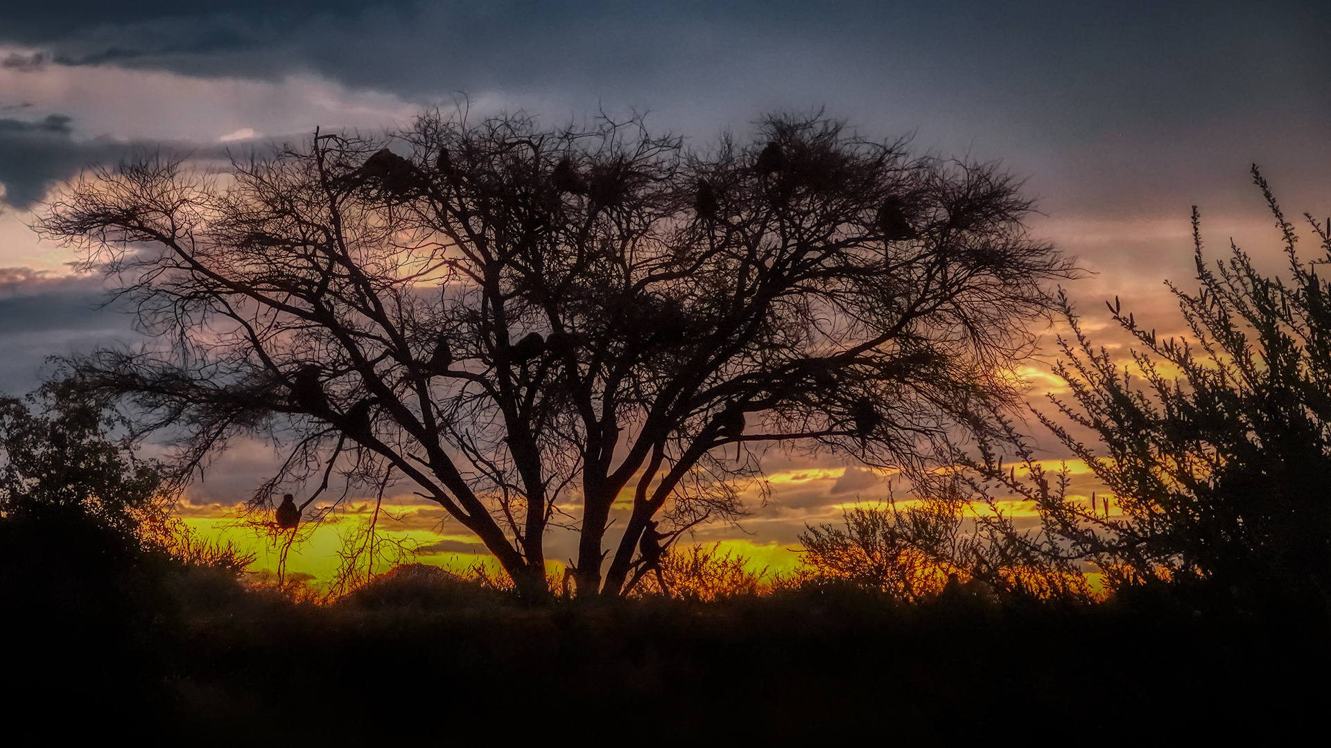 ERINDI PRIVATE GAME RESERVE (102)