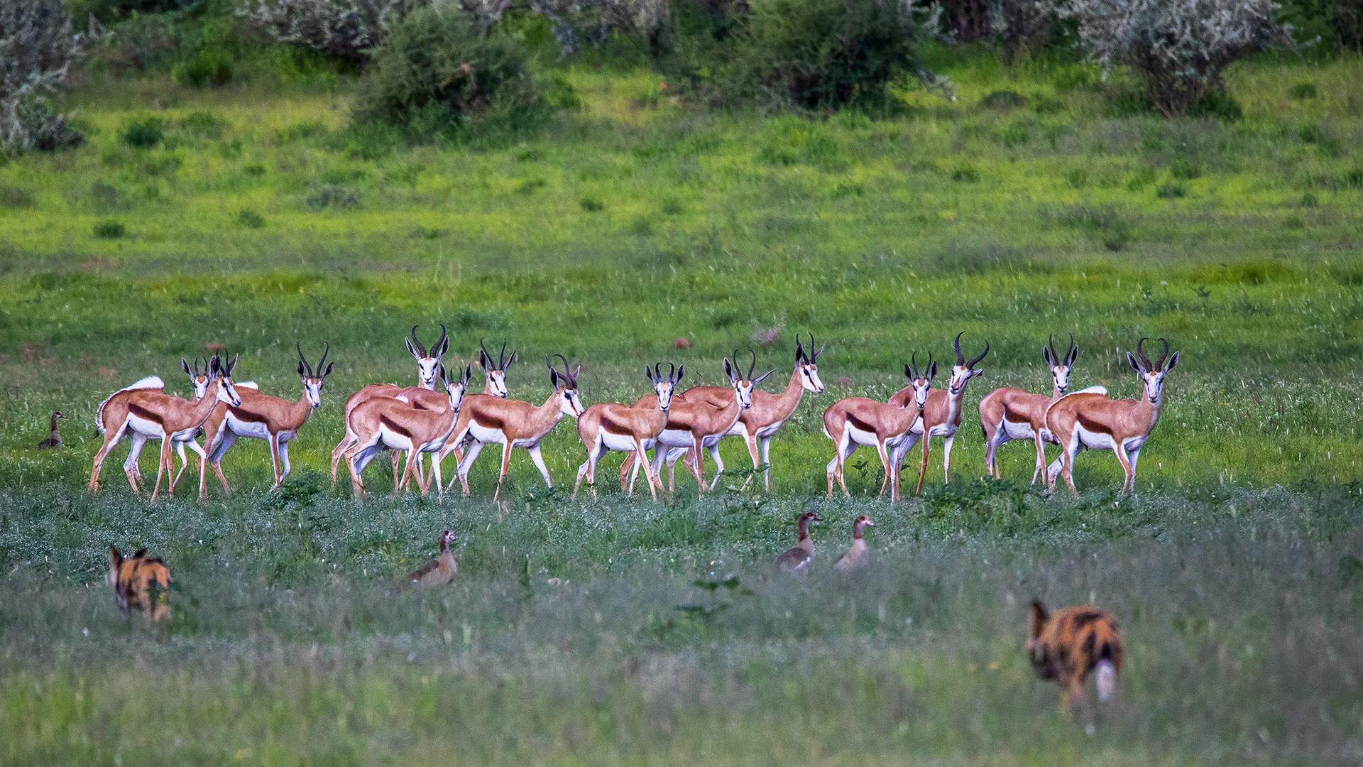 ERINDI PRIVATE GAME RESERVE (107)