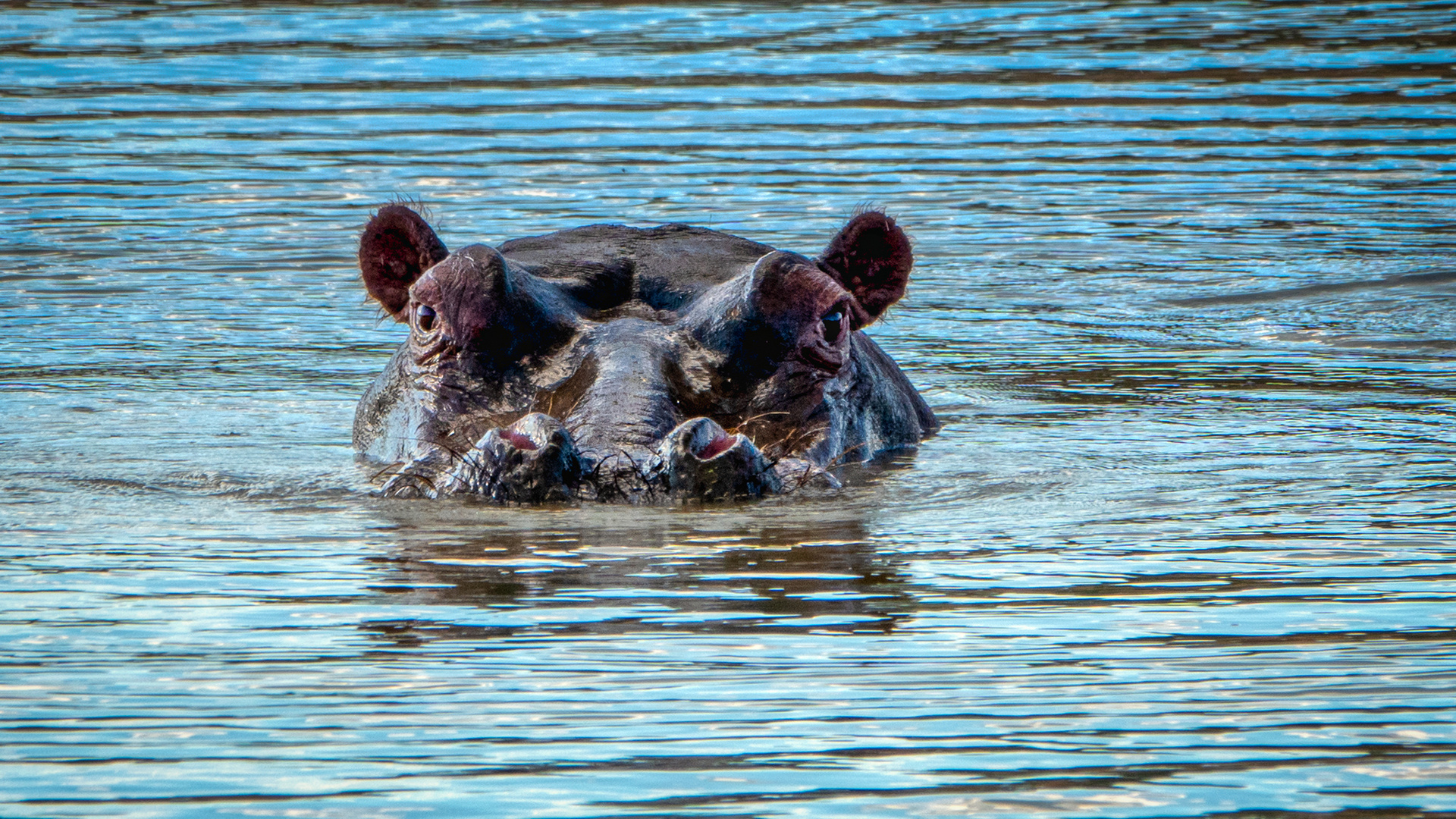 ERINDI PRIVATE GAME RESERVE (11)