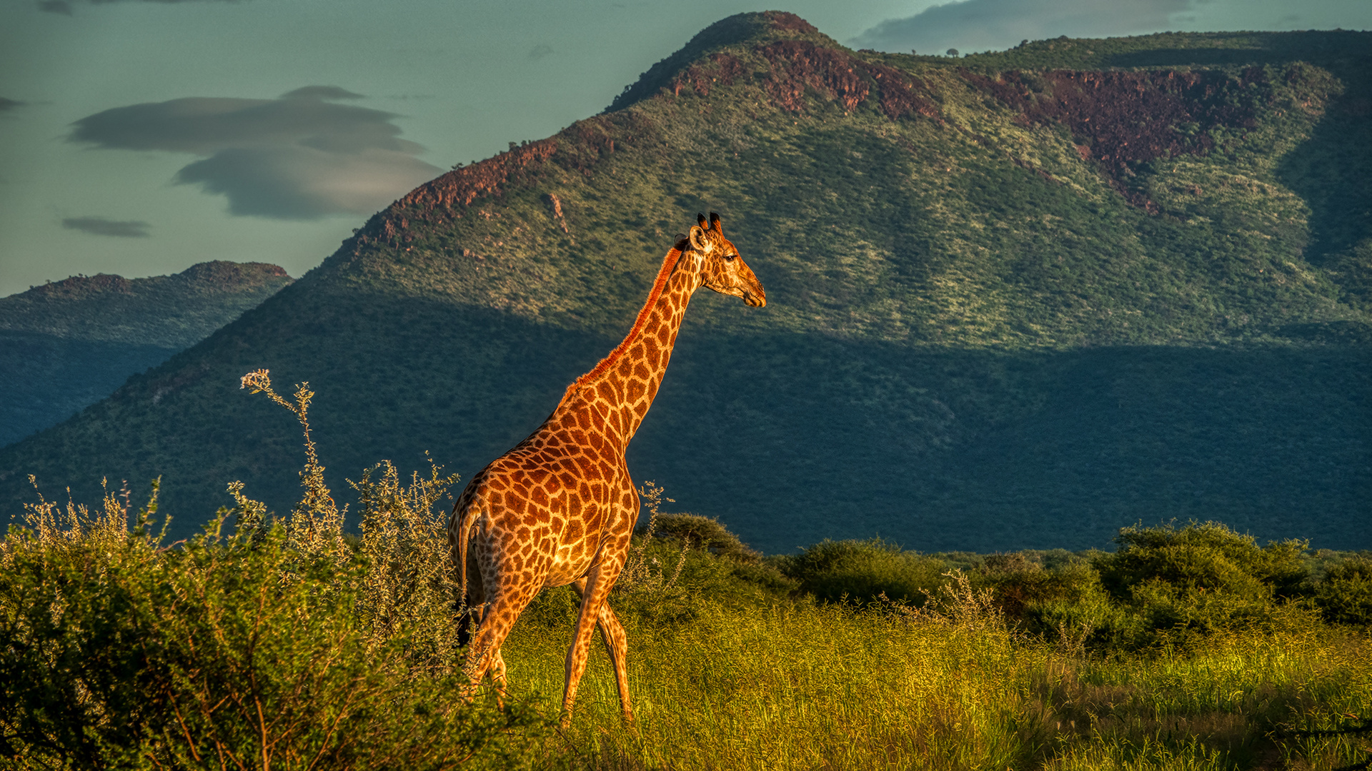 ERINDI PRIVATE GAME RESERVE (114)