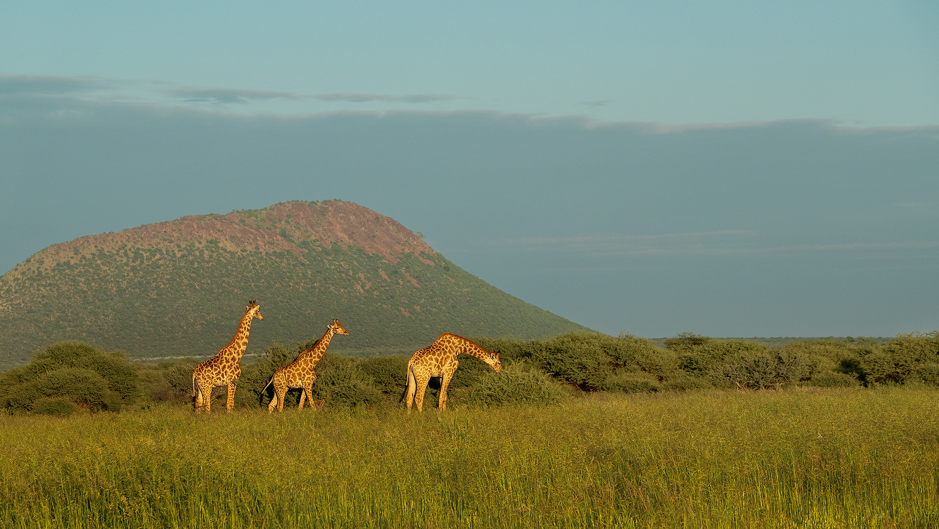 ERINDI PRIVATE GAME RESERVE (115)