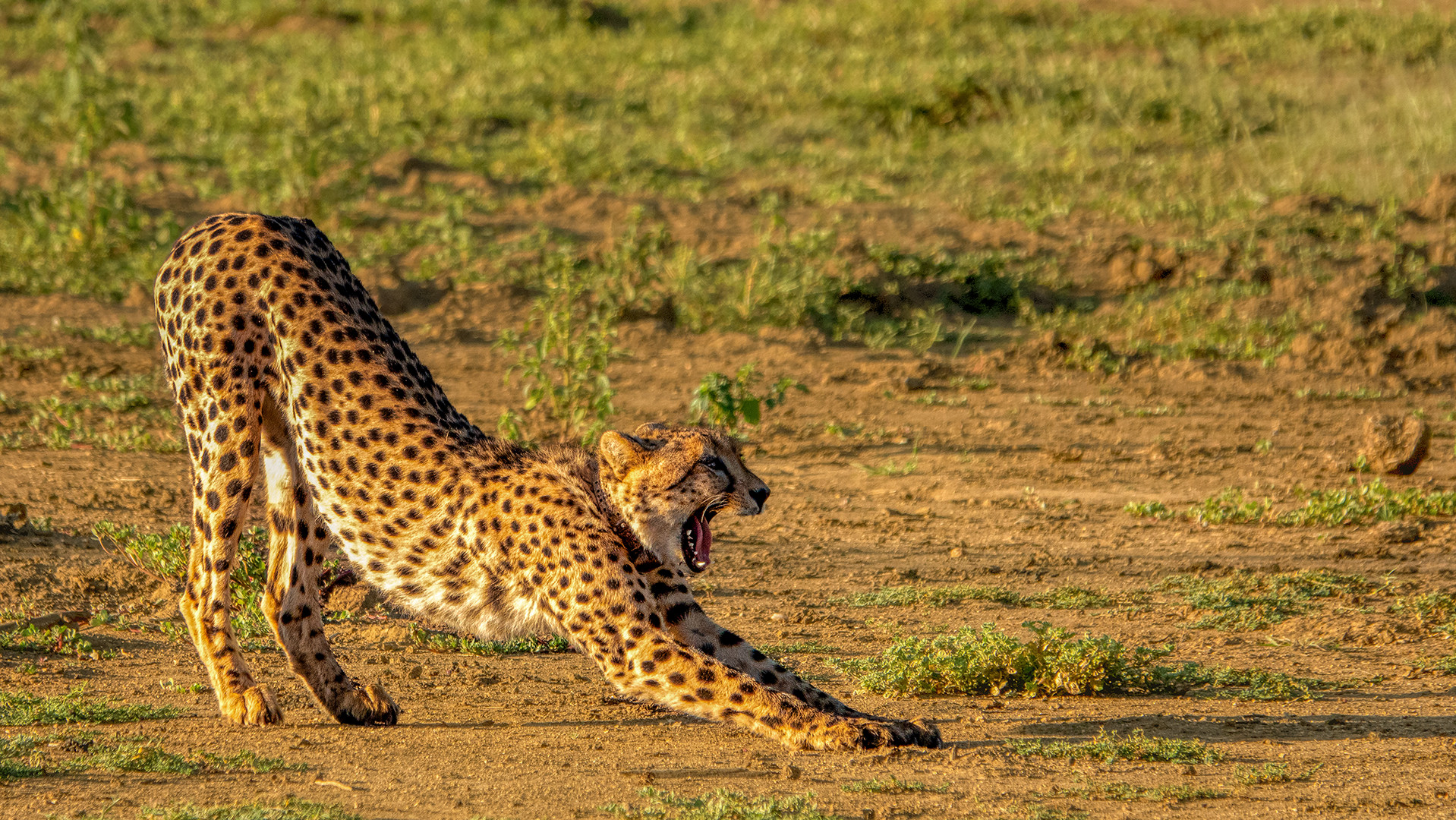 ERINDI PRIVATE GAME RESERVE (116)