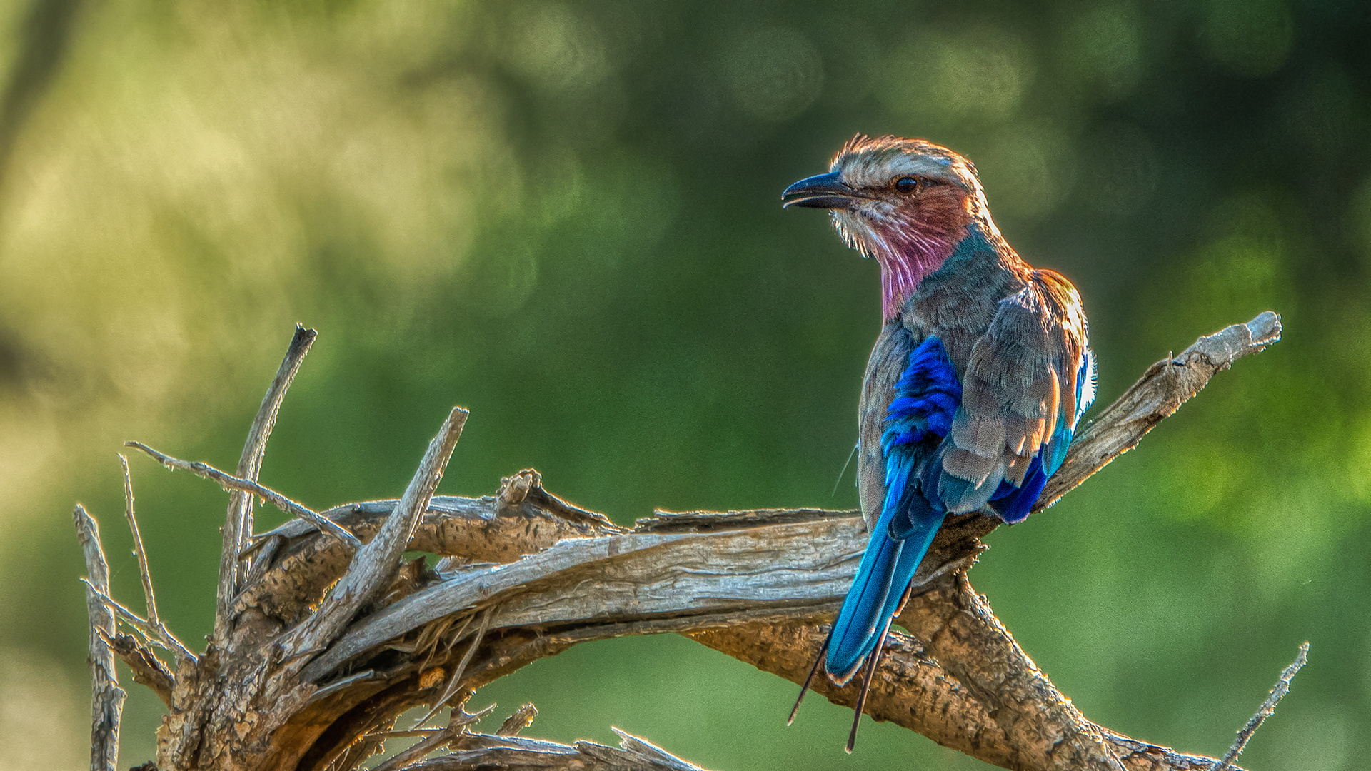 ERINDI PRIVATE GAME RESERVE (118)