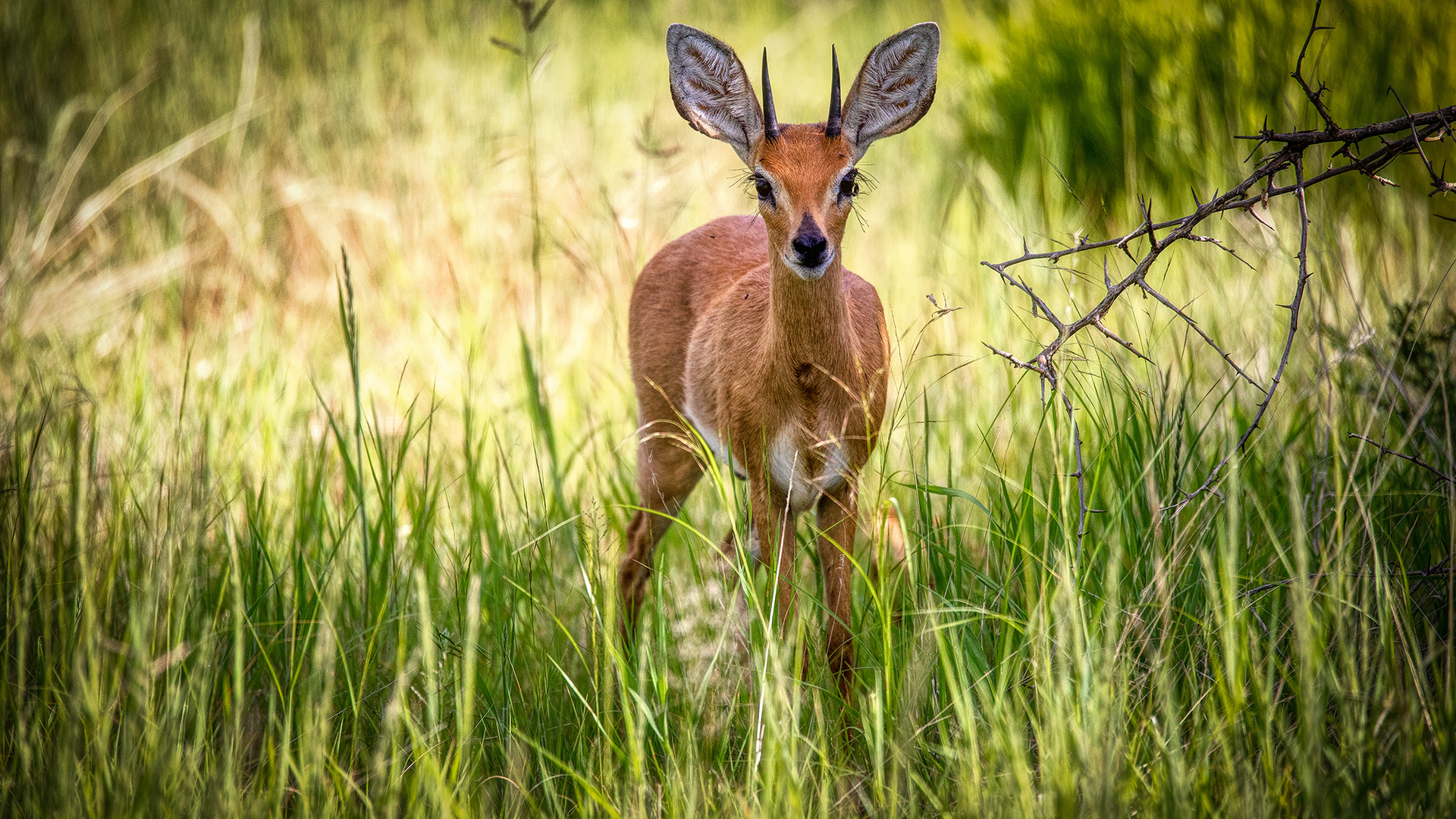 ERINDI PRIVATE GAME RESERVE (12)