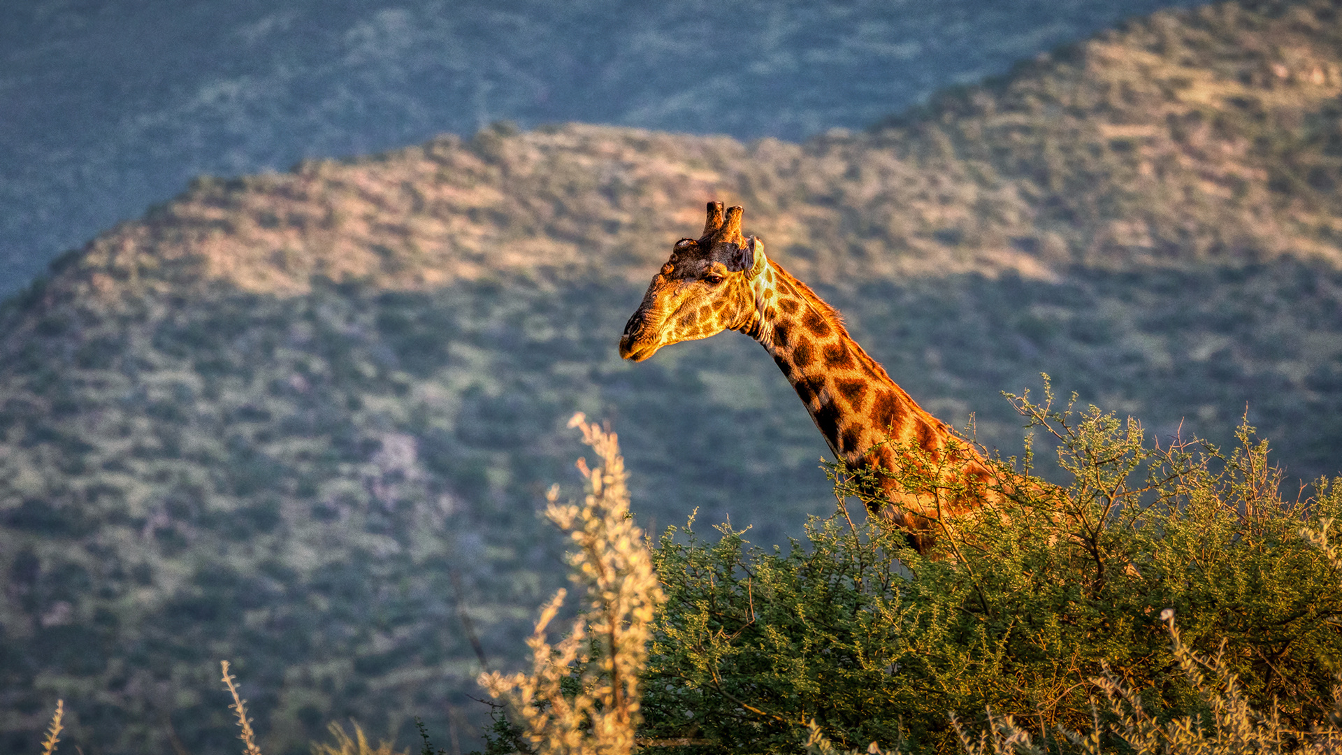 ERINDI PRIVATE GAME RESERVE (122)