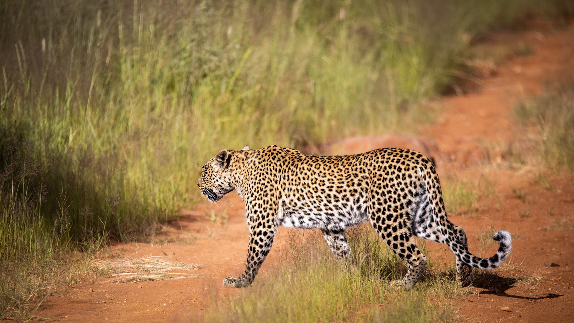 ERINDI PRIVATE GAME RESERVE (15)