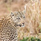 Erindi-Private-Game-Reserve