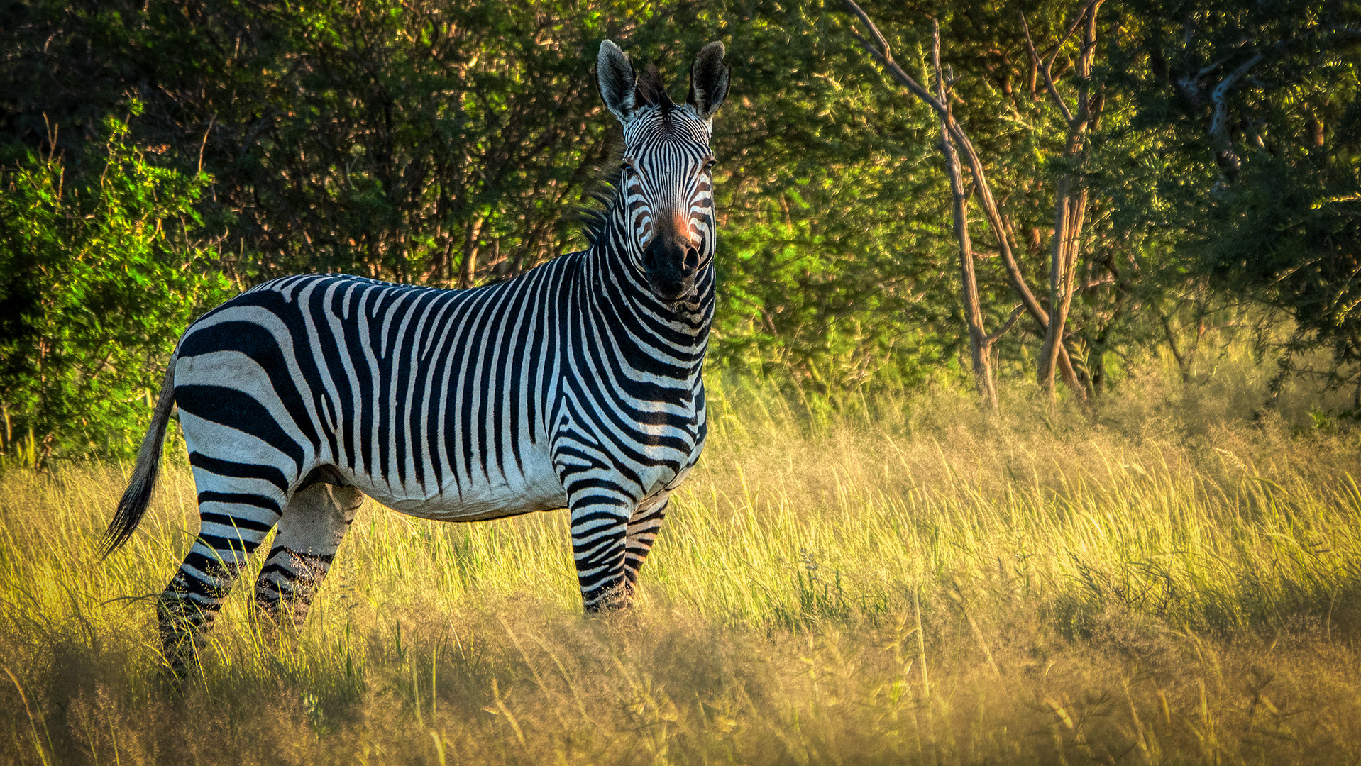 ERINDI PRIVATE GAME RESERVE (28)