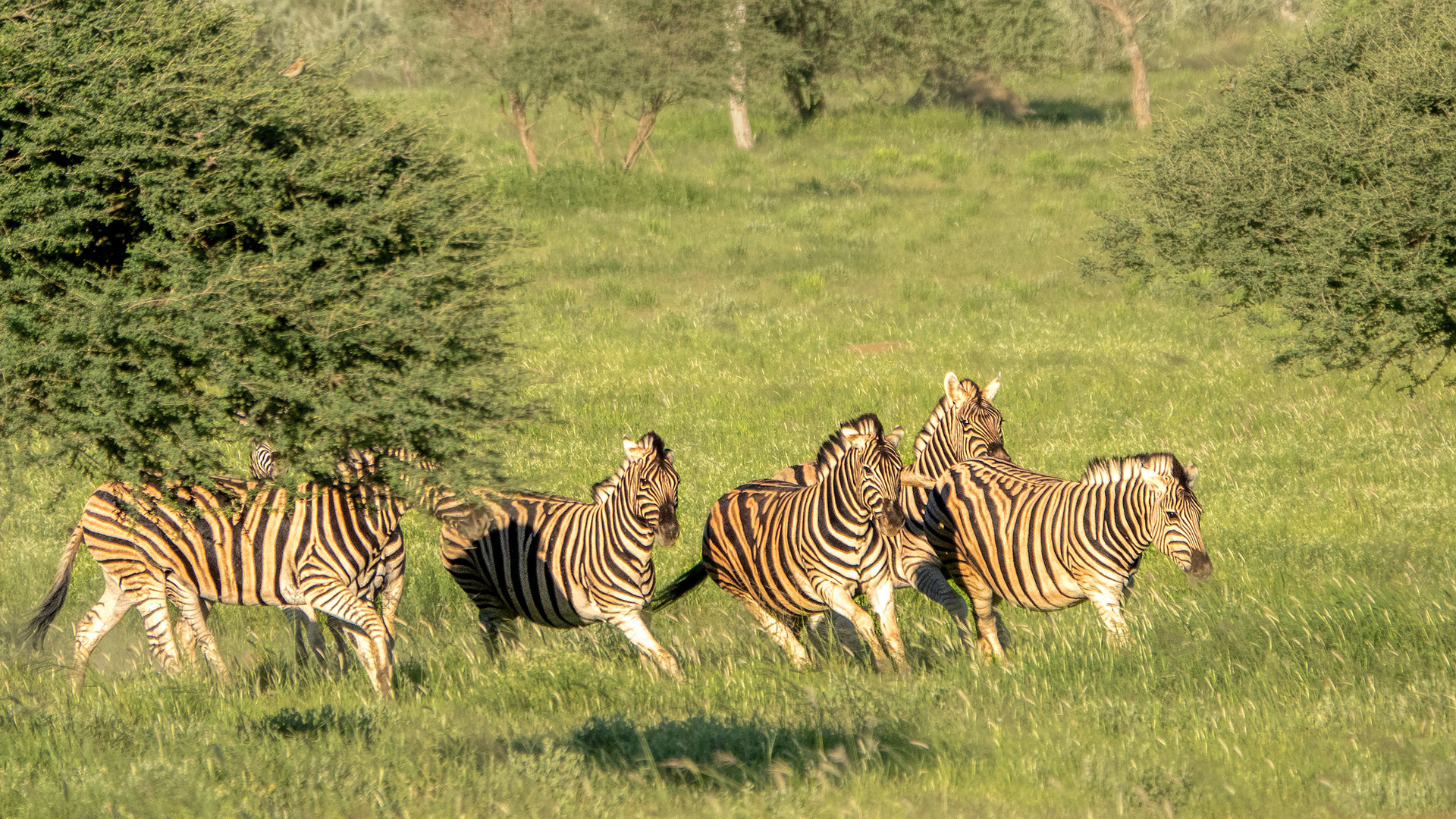 ERINDI PRIVATE GAME RESERVE (29)