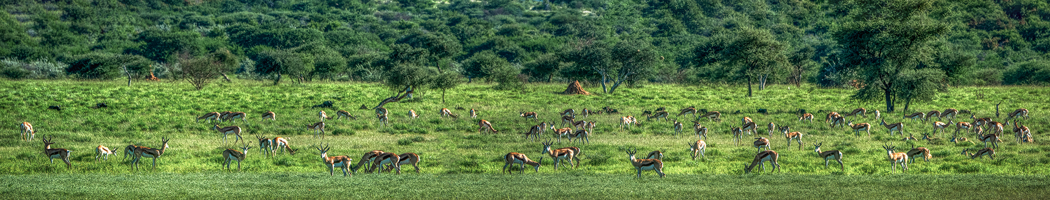 ERINDI PRIVATE GAME RESERVE (41)