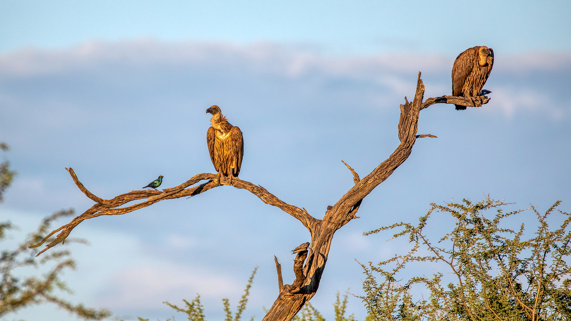 ERINDI PRIVATE GAME RESERVE (46)