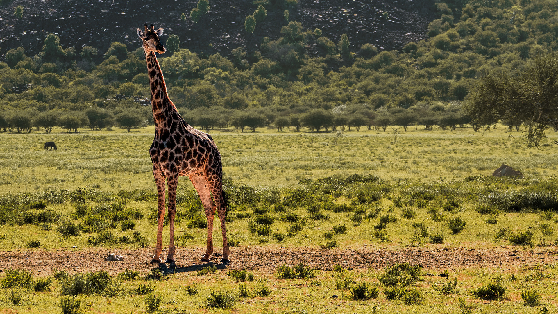 ERINDI PRIVATE GAME RESERVE (47)