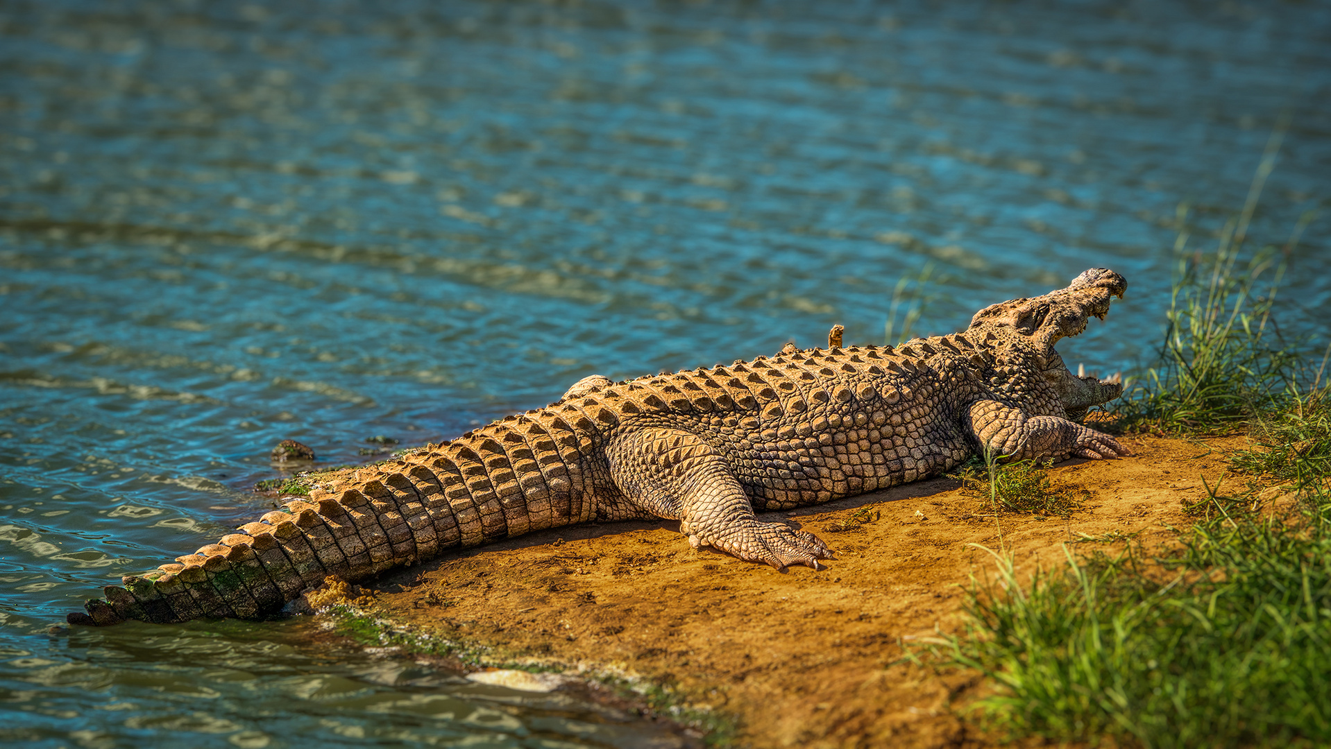 ERINDI PRIVATE GAME RESERVE (57)