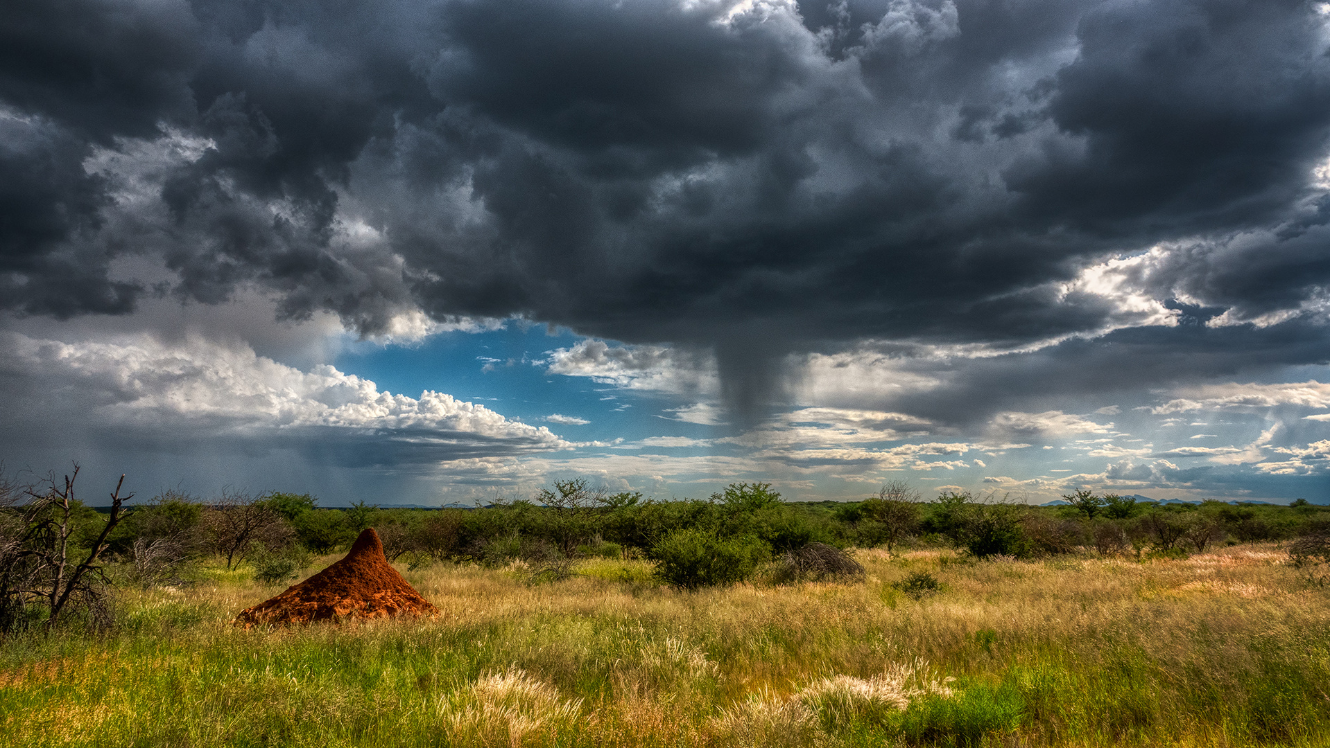 ERINDI PRIVATE GAME RESERVE (60)