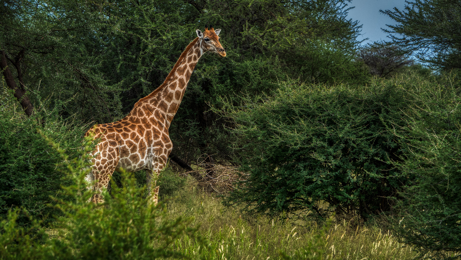 ERINDI PRIVATE GAME RESERVE (62)