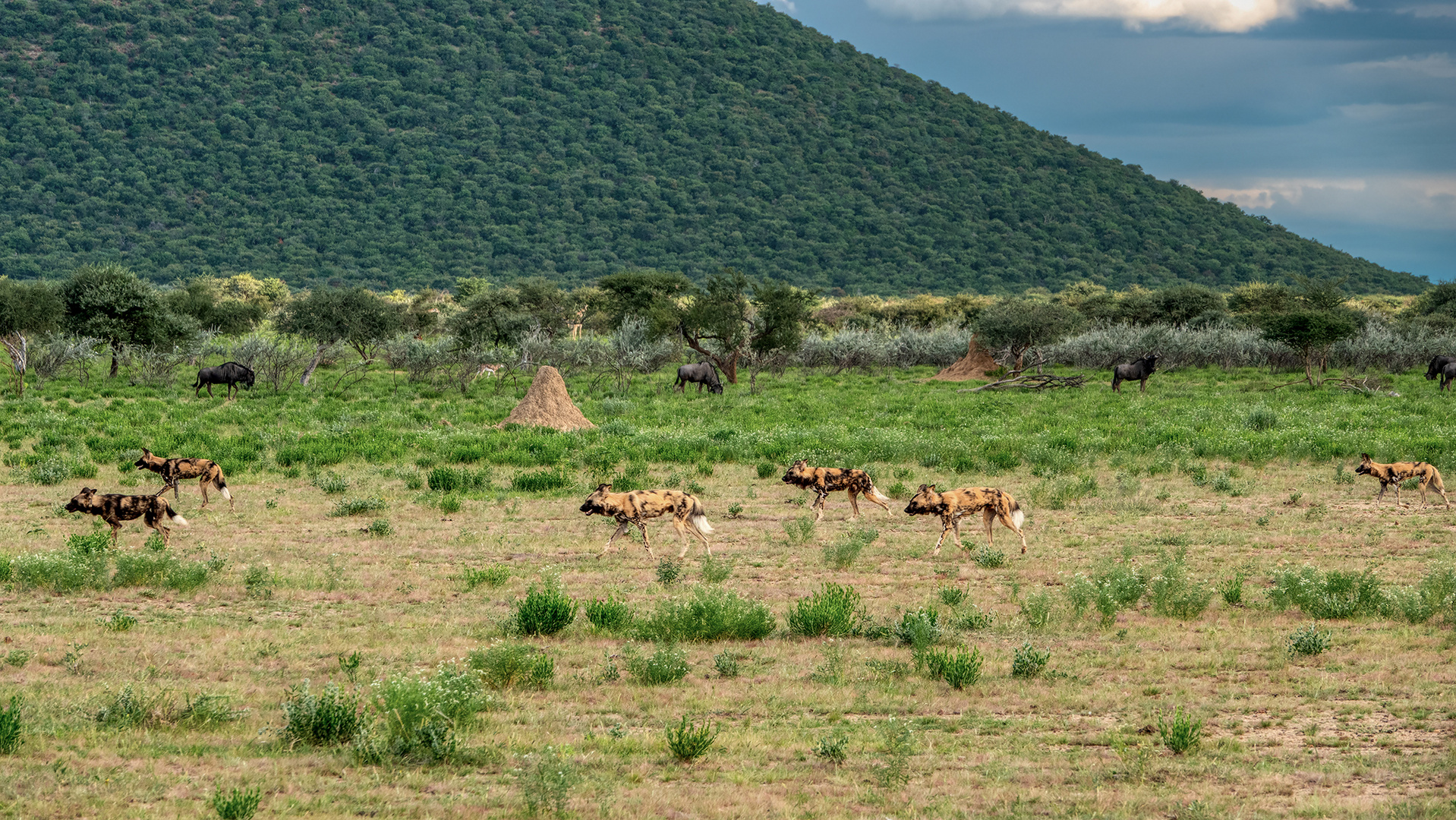 ERINDI PRIVATE GAME RESERVE (78)