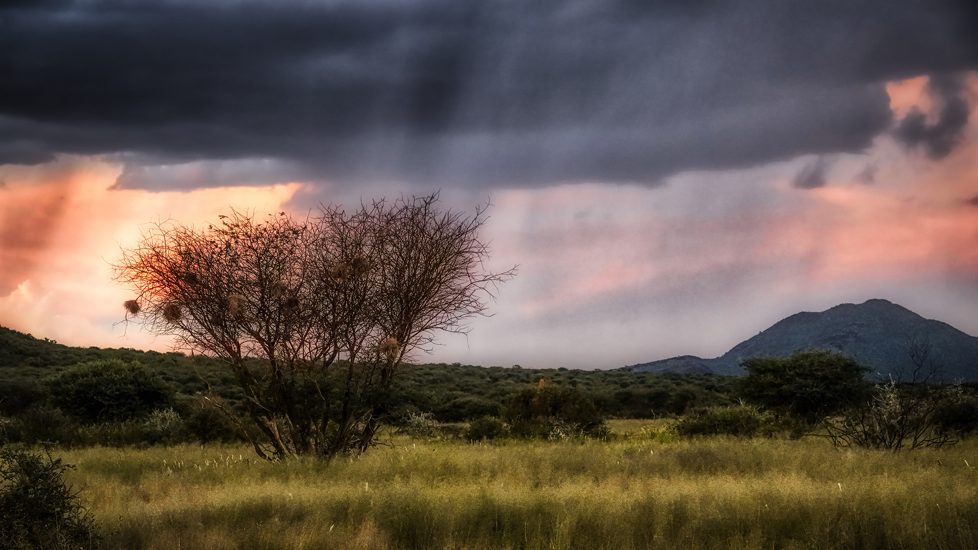 ERINDI PRIVATE GAME RESERVE (92)