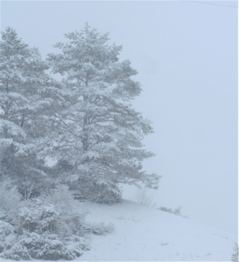 erinnernd an die Tage im Schnee