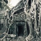 Erinnerung an Angkor Wat