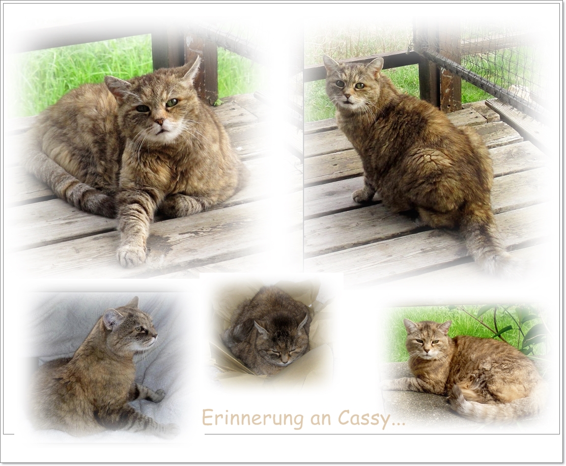 Erinnerung an CASSY