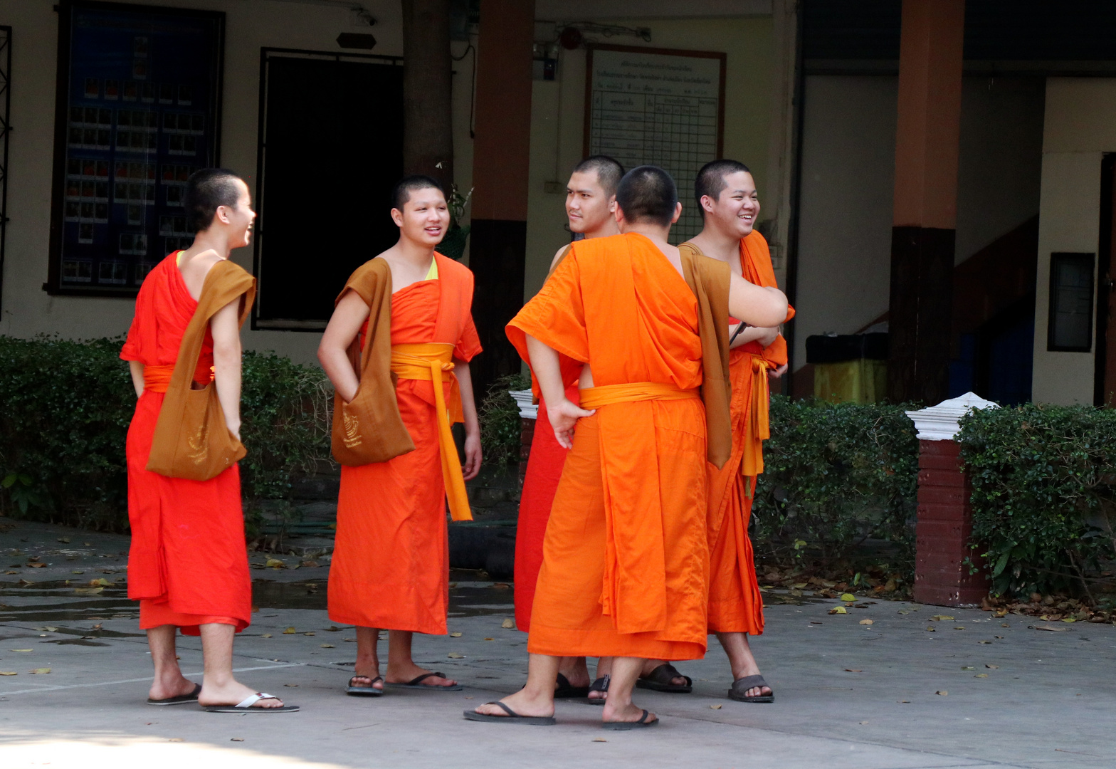 Erinnerung an Chiang Mai 1