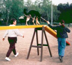 erinnerung an cora -agility