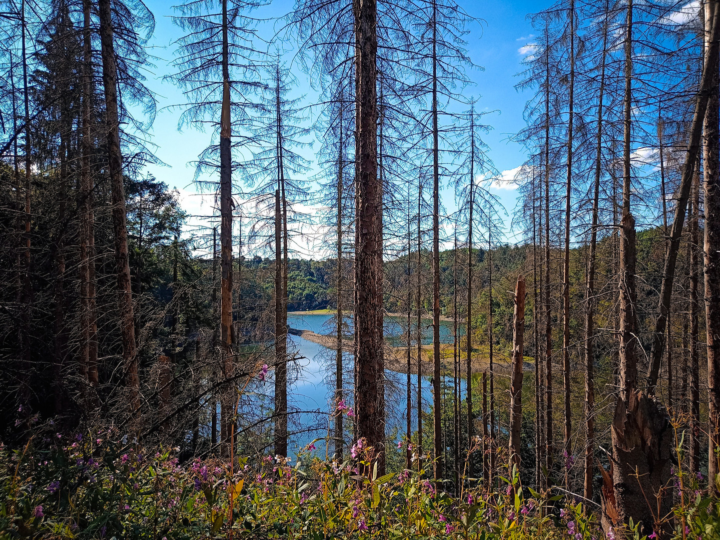 Erinnerung an dem Sommer