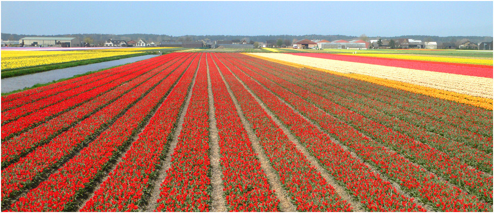 Erinnerung an den Frühling 2