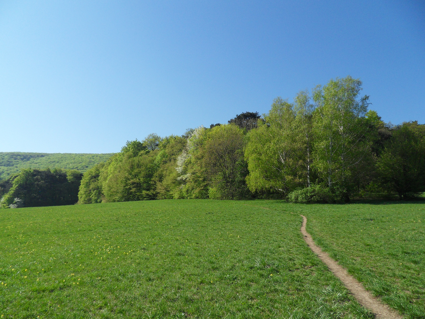 Erinnerung an den Frühling