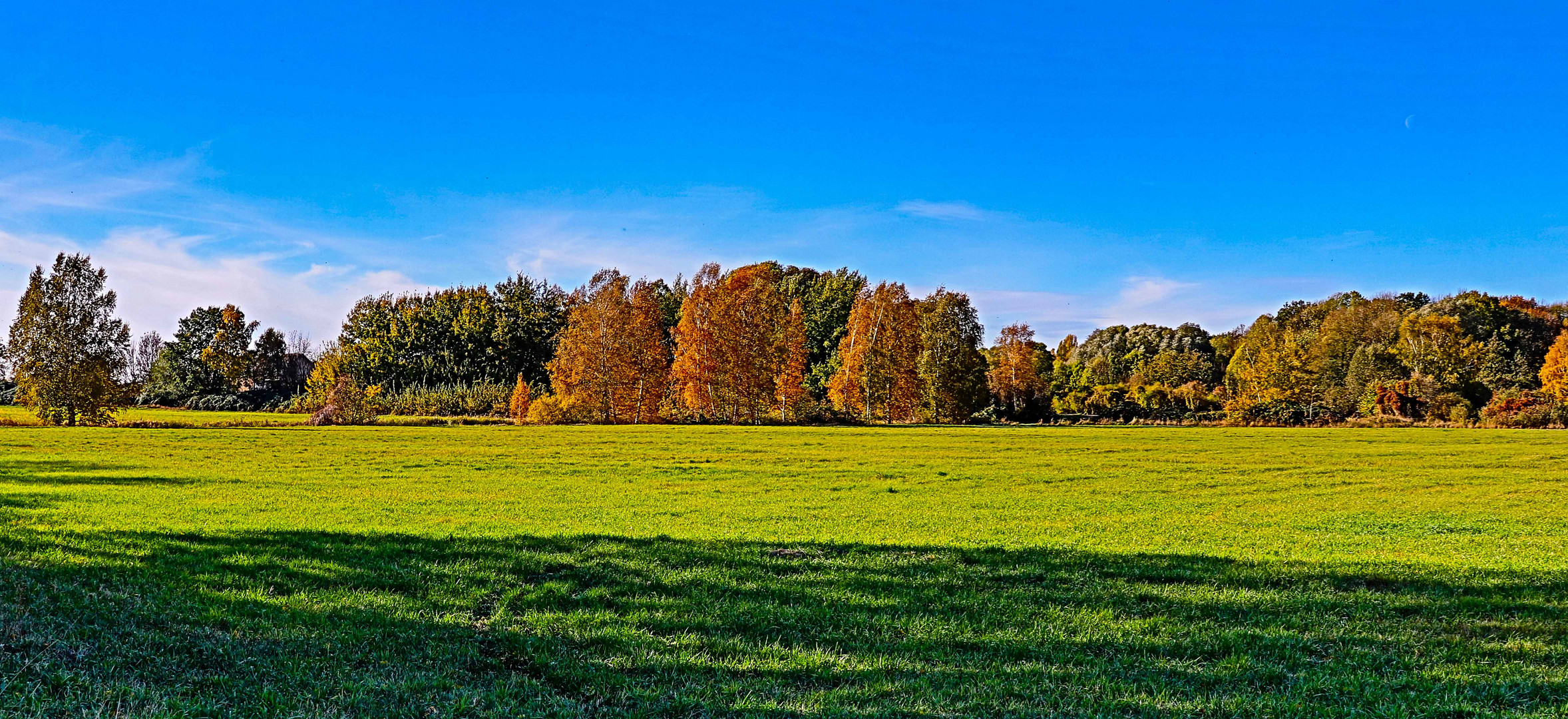 Erinnerung an den goldenen Herbst