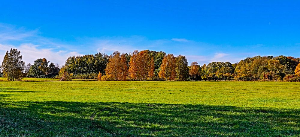 Erinnerung an den goldenen Herbst