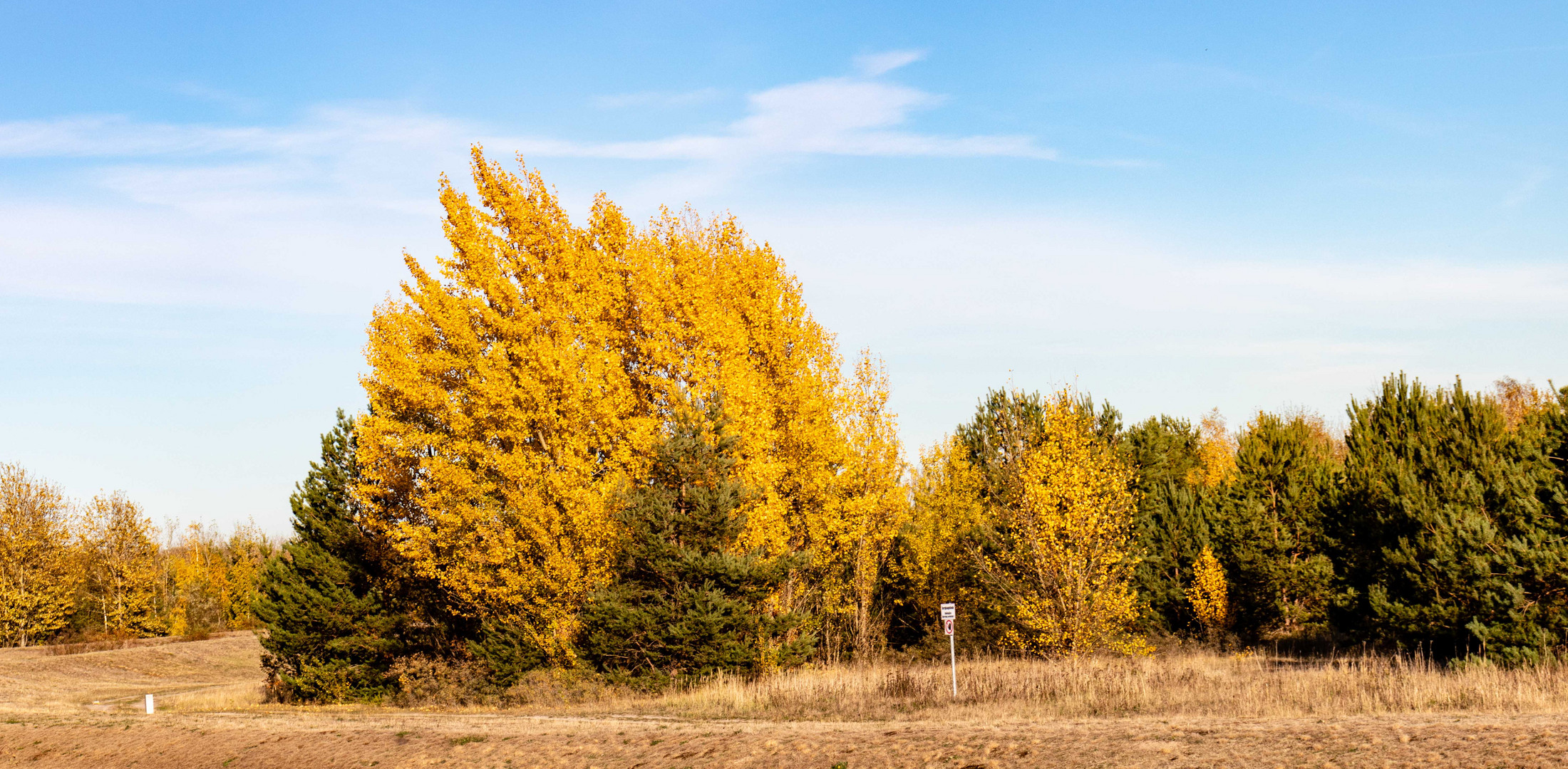 Erinnerung an den goldenen Herbst