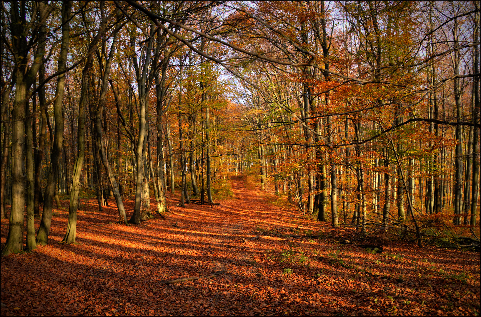 Erinnerung an den goldenen Herbst