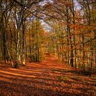 Erinnerung an den goldenen Herbst