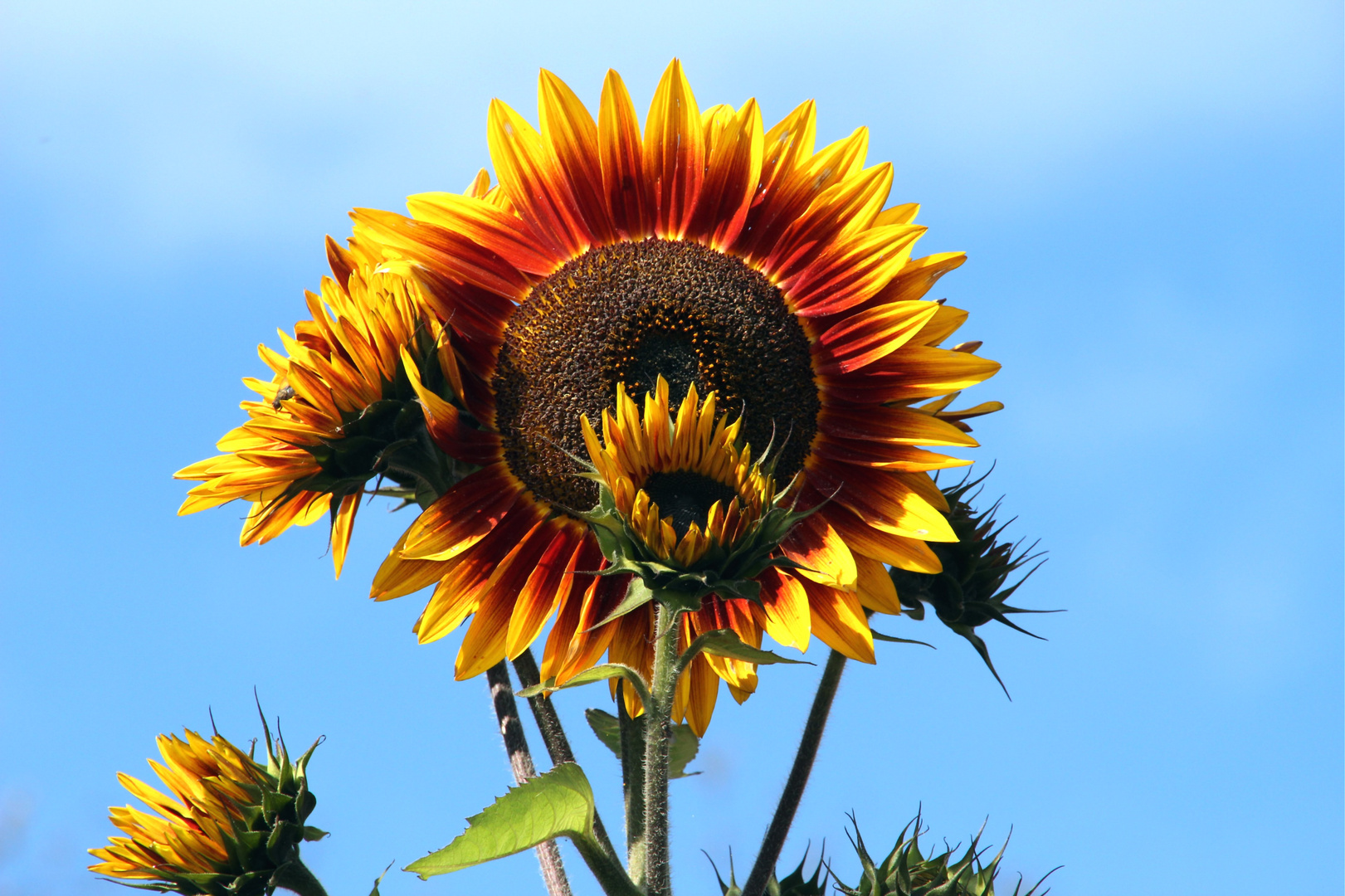 Erinnerung an den Herbst