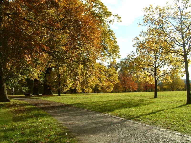 Erinnerung an den Herbst