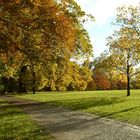 Erinnerung an den Herbst