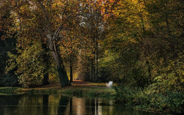 Erinnerung an den Herbst...