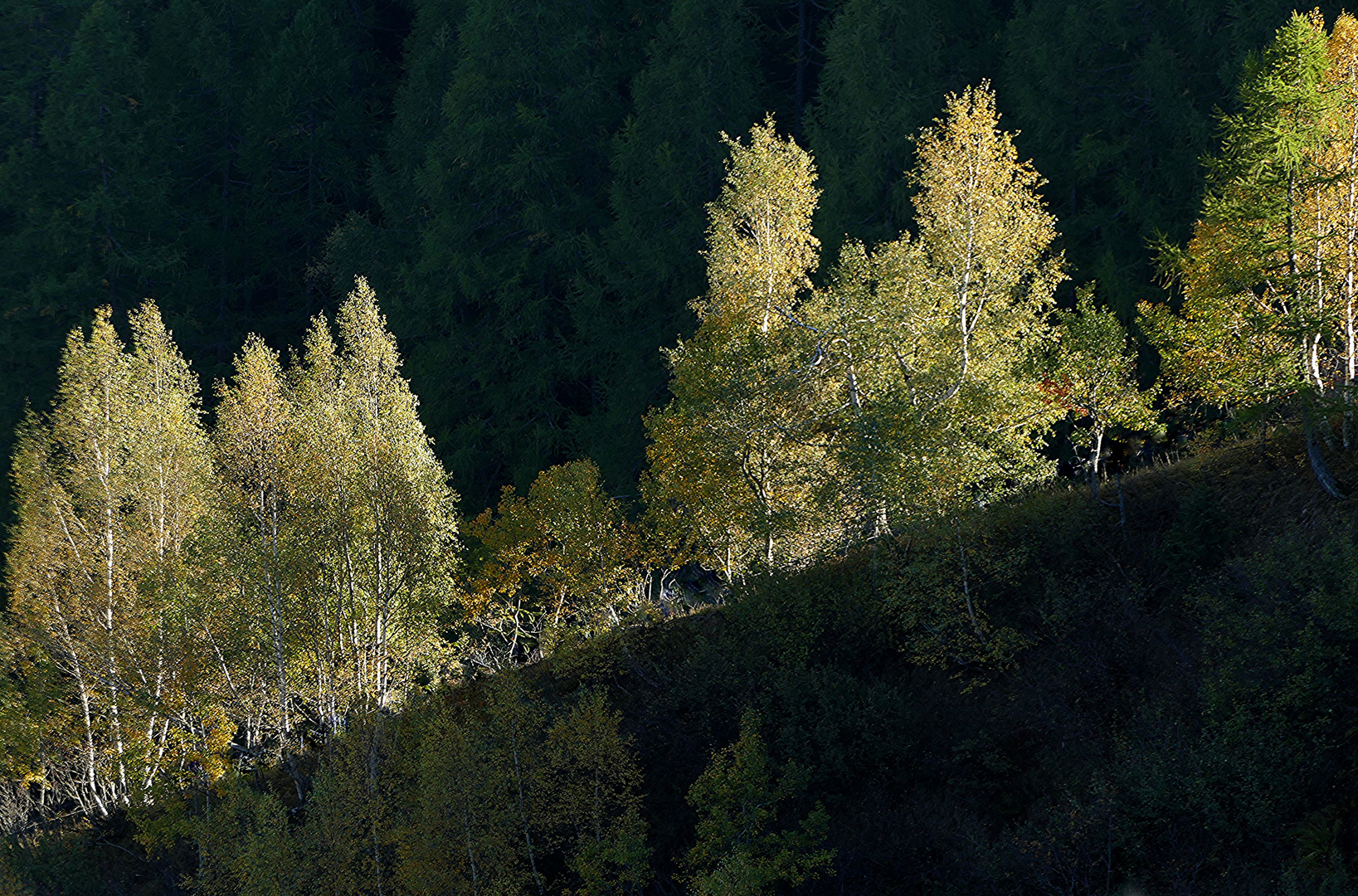 Erinnerung an den Herbst 