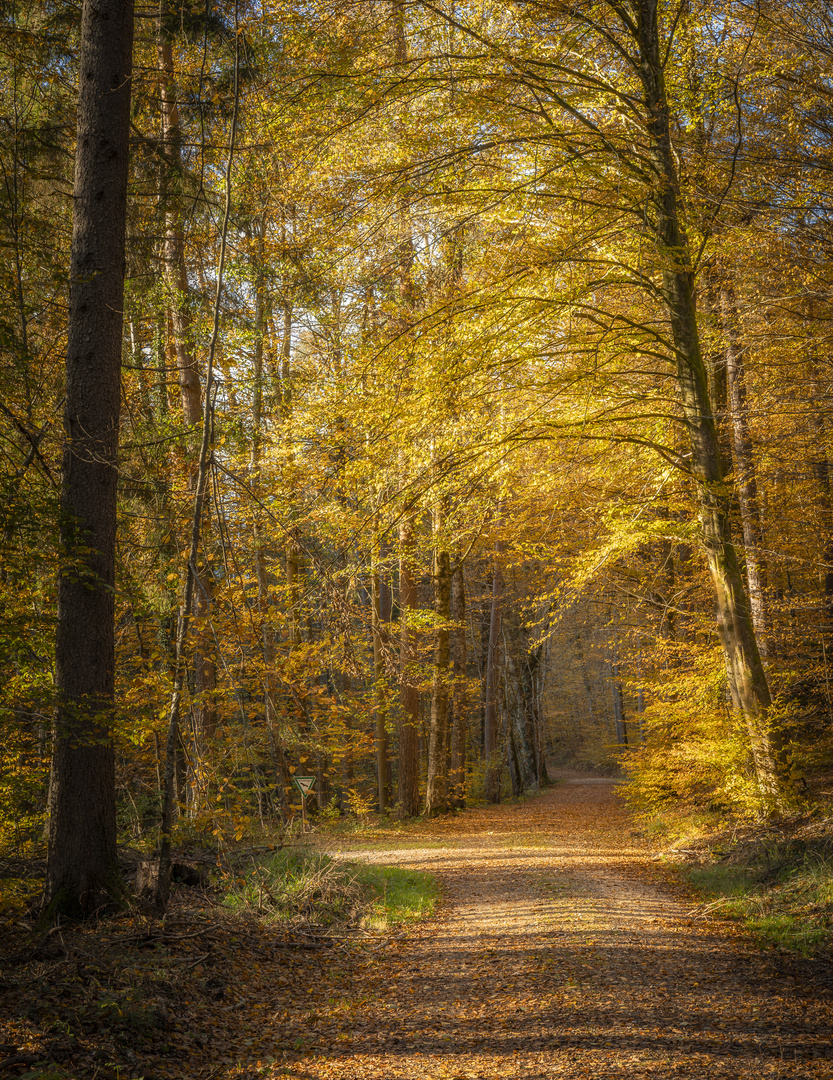 Erinnerung an den Herbst