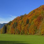 Erinnerung an den Herbst