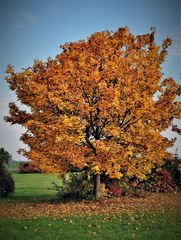 Erinnerung an den Herbst