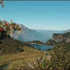 Erinnerung an den herrlichen Herbst