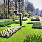 Erinnerung an den Keukenhof