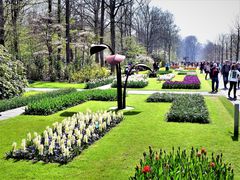 Erinnerung an den Keukenhof