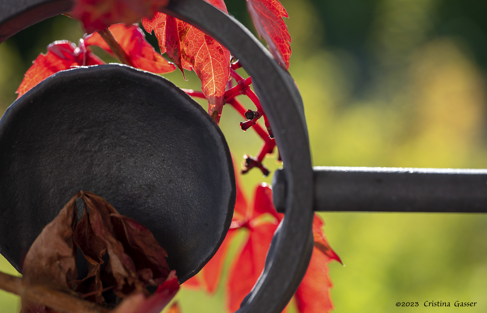 Erinnerung an den letzten Herbst 2