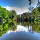 Erinnerung an den letzten Sommer