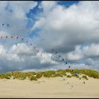 Erinnerung an den letzten Sommer