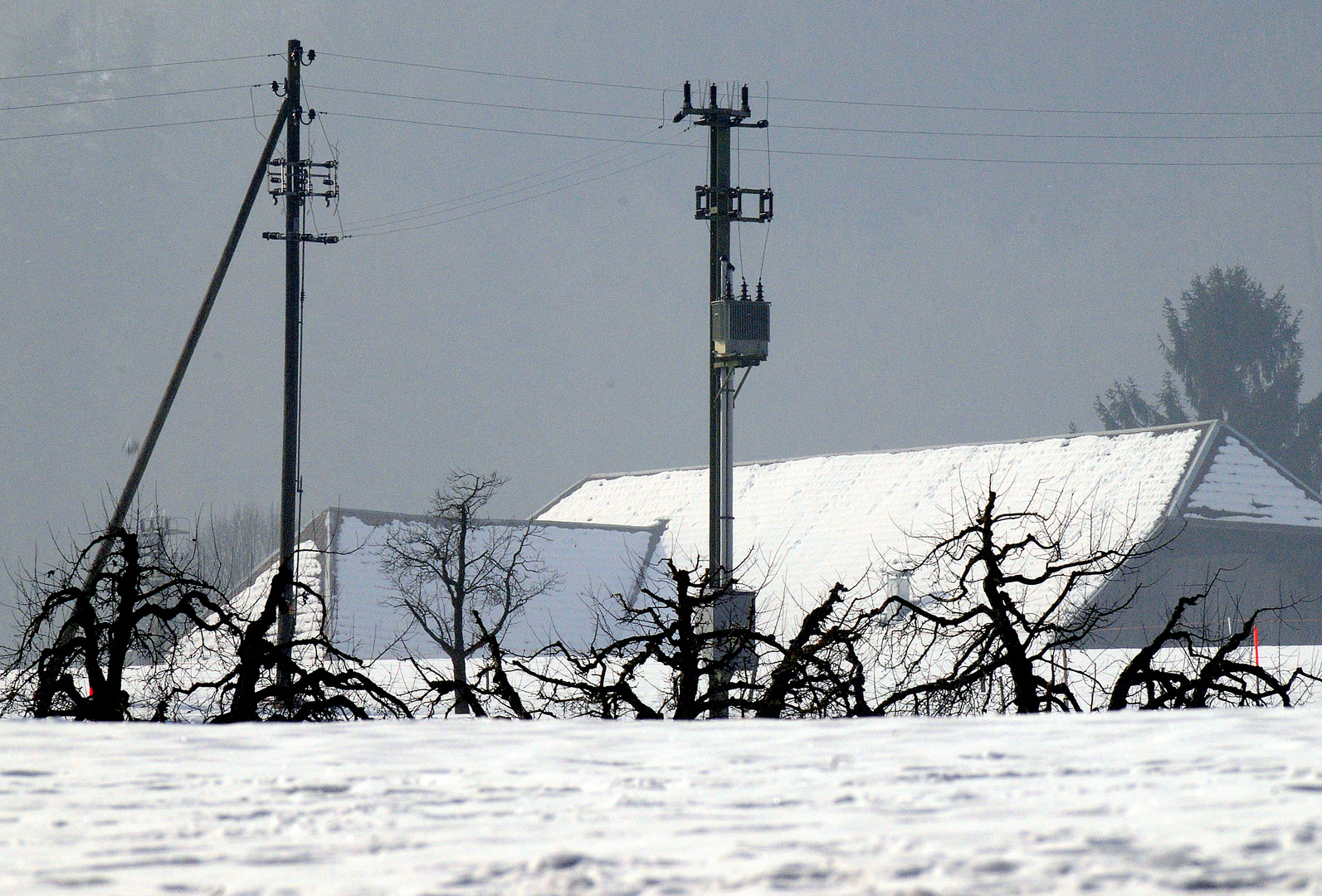 Erinnerung an den letztjährigen Winter