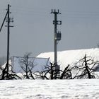 Erinnerung an den letztjährigen Winter